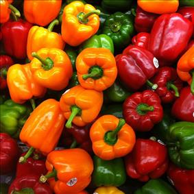 Bellpepper (Capsicum)